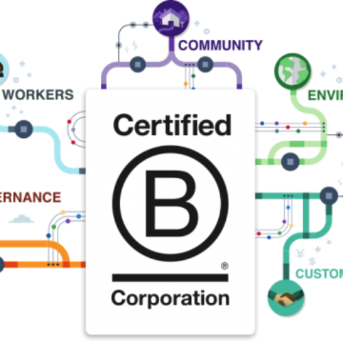 Why Your Business Needs to be B Corp Certified